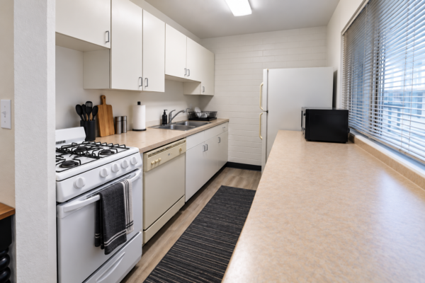 Modern Minimalist Galley Kitchen